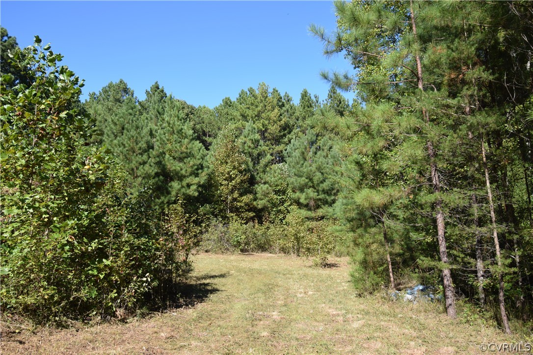 17226 Parsons Road Beaverdam, VA 23015 - Photo 22 of 45 Gallery Image 22