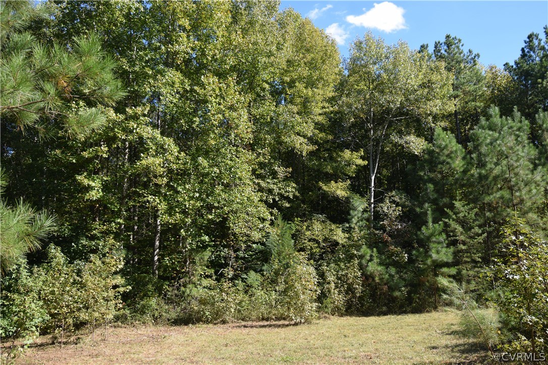 17226 Parsons Road Beaverdam, VA 23015 - Photo 24 of 45 Gallery Image 24