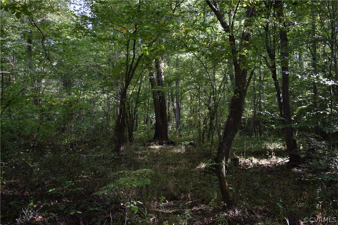 17226 Parsons Road Beaverdam, VA 23015 - Photo 33 of 45 Gallery Image 33