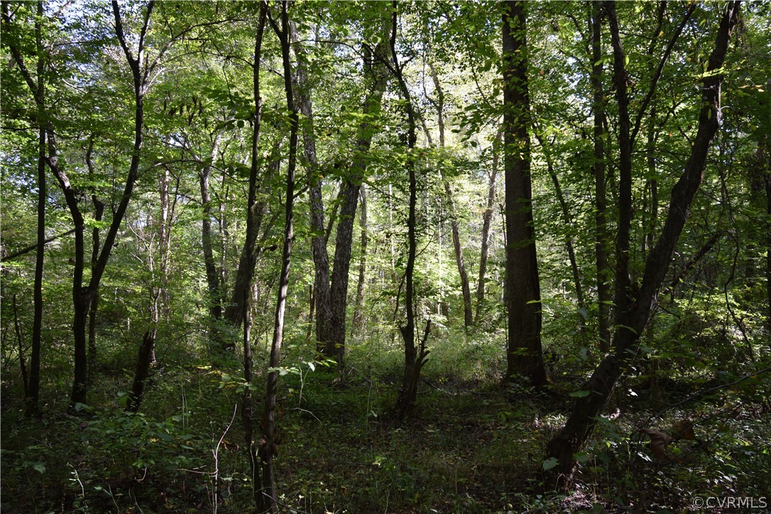17226 Parsons Road Beaverdam, VA 23015 - Photo 40 of 45 Gallery Image 40
