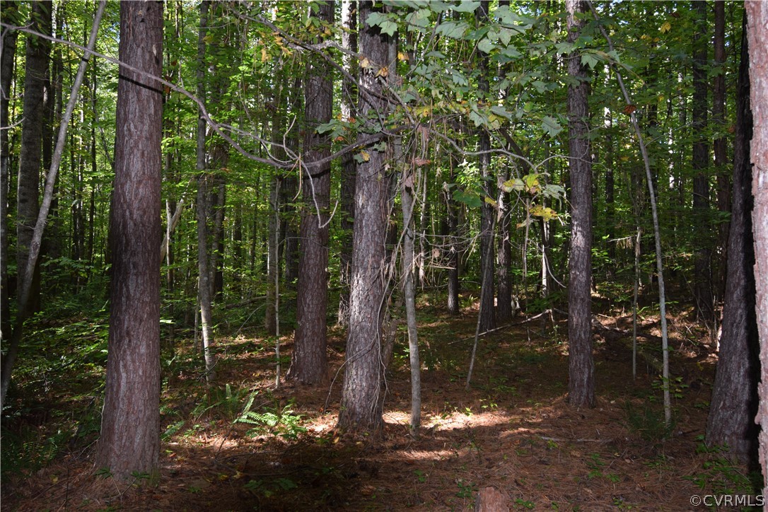 17226 Parsons Road Beaverdam, VA 23015 - Photo 43 of 45 Gallery Image 43