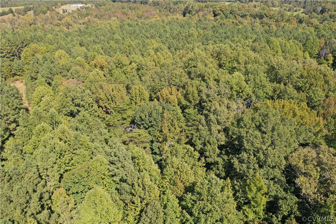 17226 Parsons Road Beaverdam, VA 23015 - Photo 9 of 45 Gallery Image 9