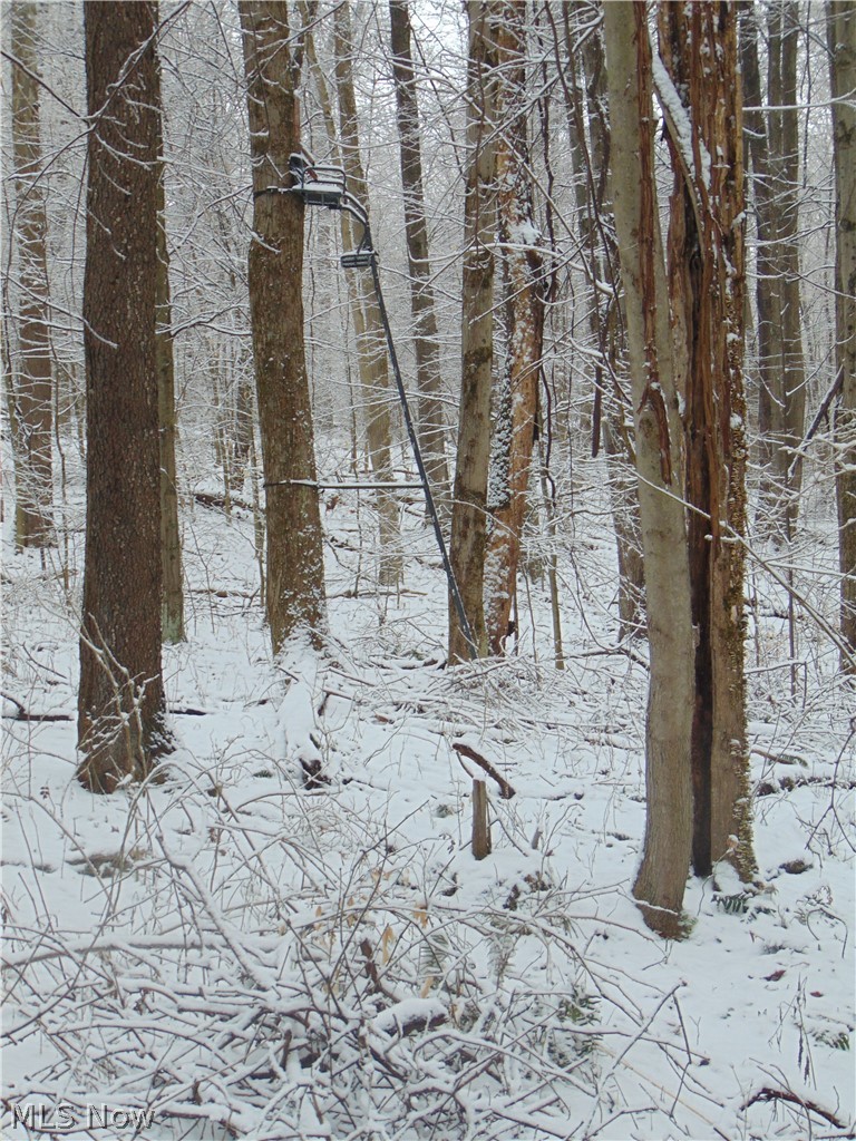 Allen Rd Mount Mount Vernon, OH 43050 - Photo 7 of 24
