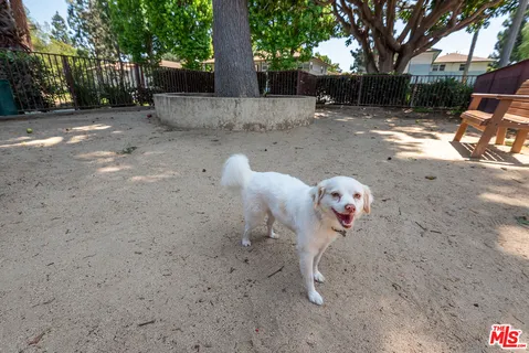 $500,000 | 3641 Kalsman Drive, Unit 4, Los Angeles, CA 90016