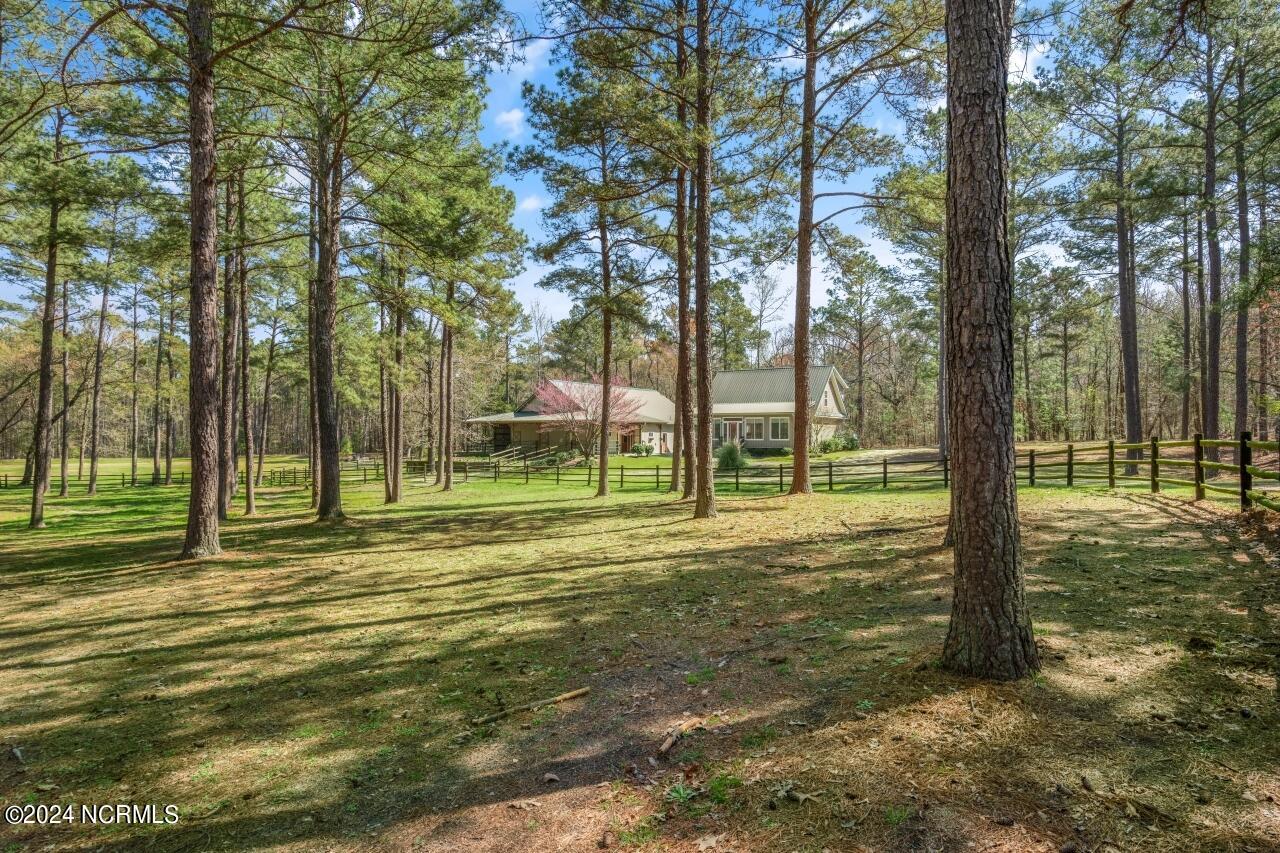 277 Causey Road Vass, NC 28394 - Photo 7 of 58 277-causey-023