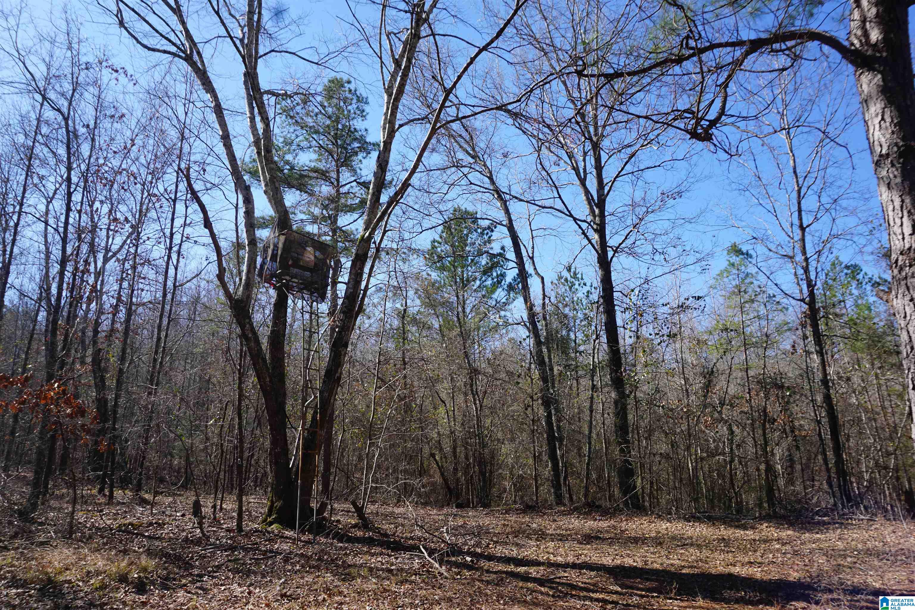 6171 Highway 102, Unit 1 Fayette, AL 35555 - Photo 55 of 68