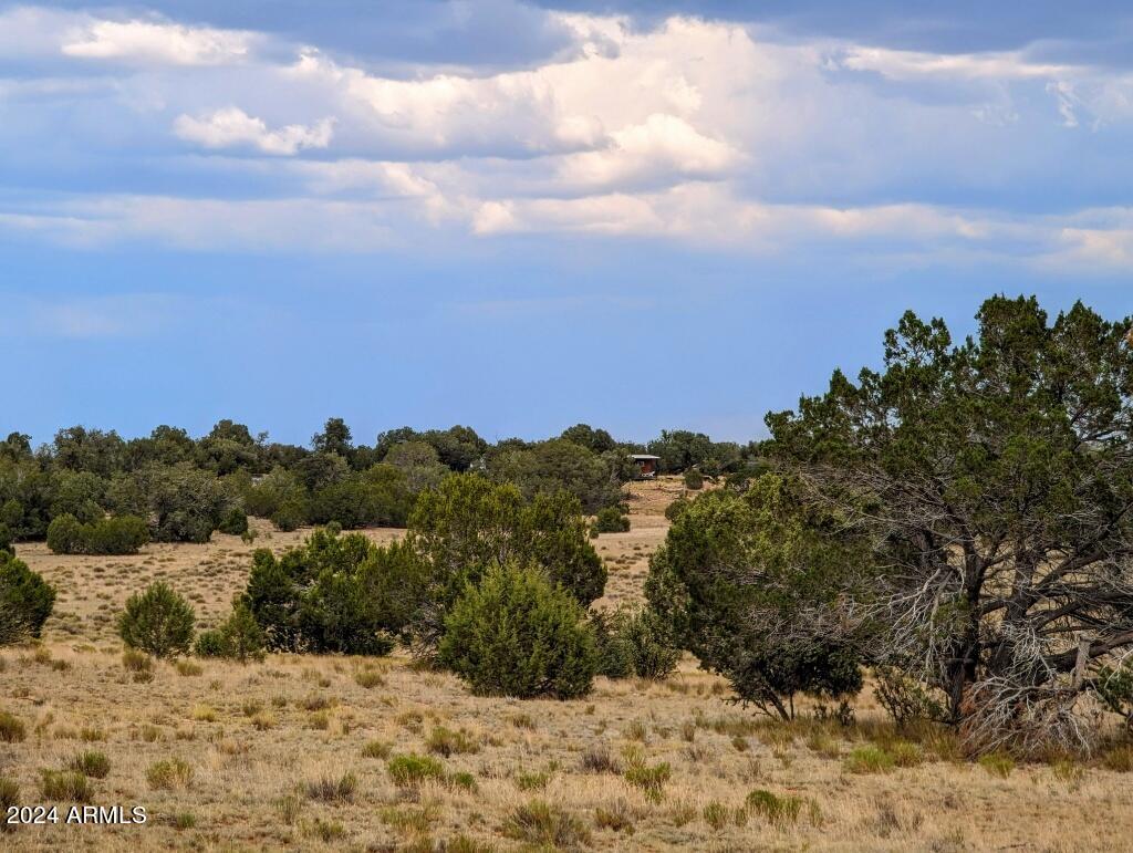 1111 North Jackpot Ranch Road, Unit 87 Seligman, AZ 86337 - Photo 5 of 6 Photo 6