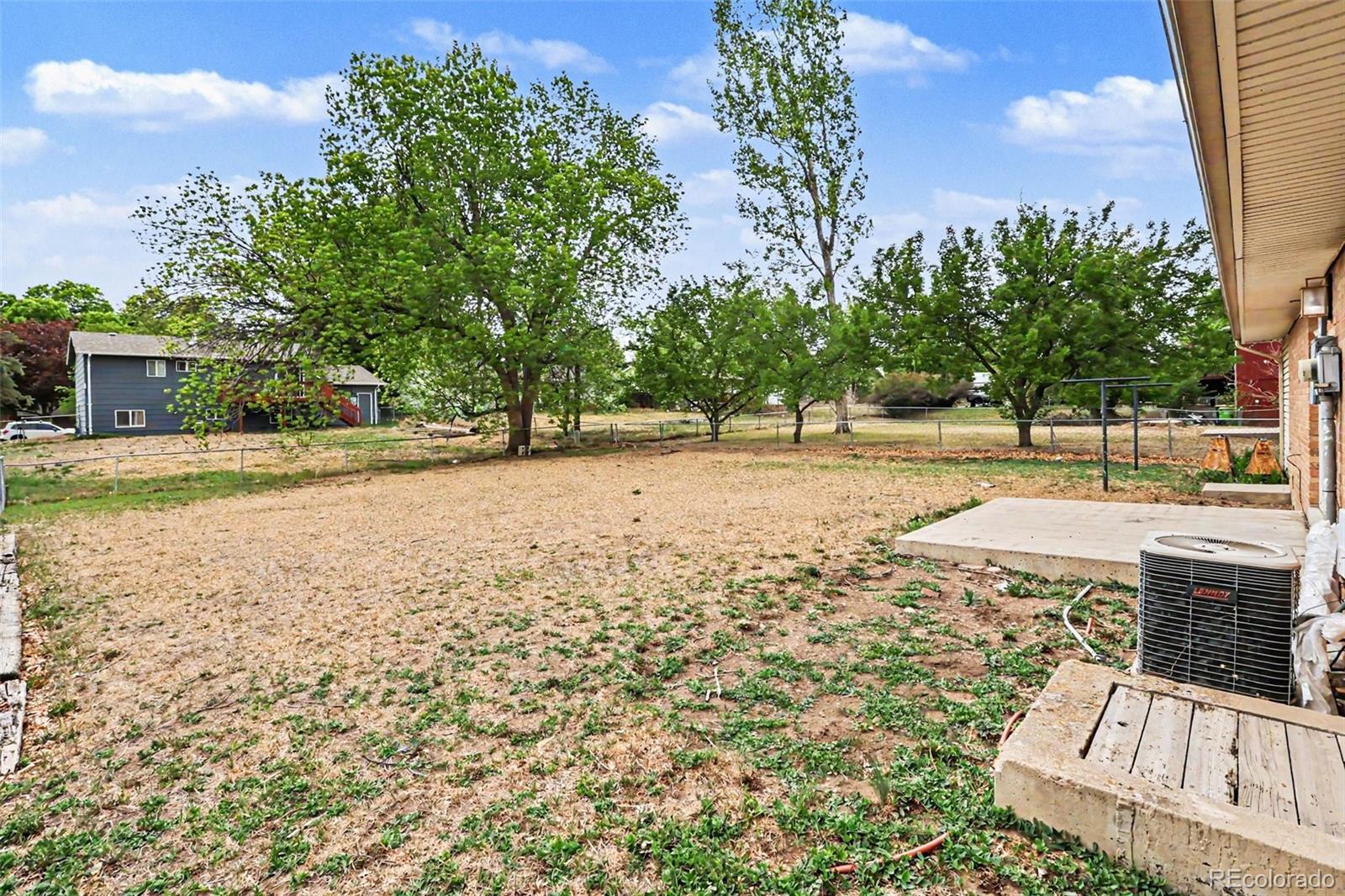 809 Gallup Road Fort Collins, CO 80521 - Photo 17 of 20 a view of a yard with plants and trees