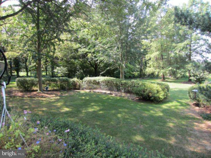 574 A Village Road West, Unit A Princeton Junction, NJ 08550 - Photo 18 of 23 Exterior Back