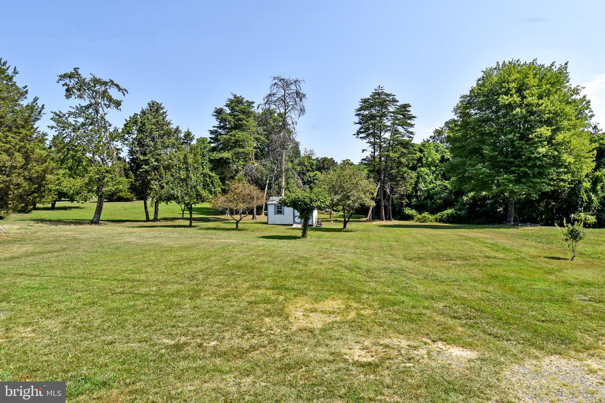 987 Ramoth Church Road Fredericksburg, VA 22406 - Photo 32 of 37 Backyard