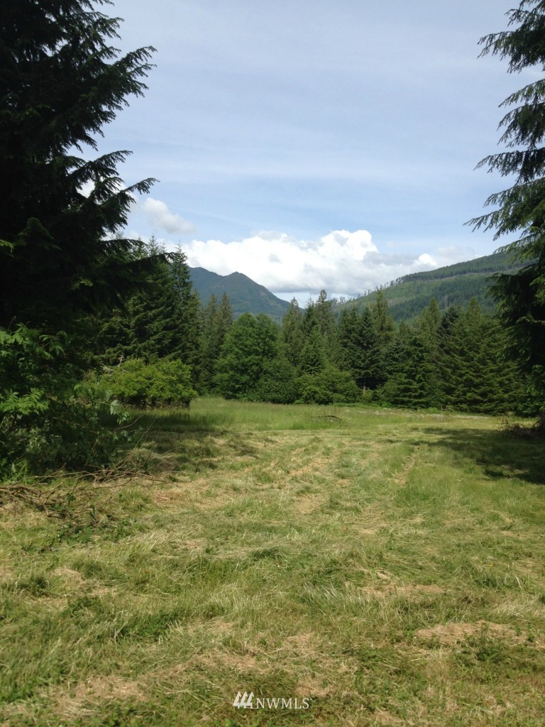 3239 Mosquito Lake Road Deming, WA 98244 - Photo 14 of 15 Gallery Image 14