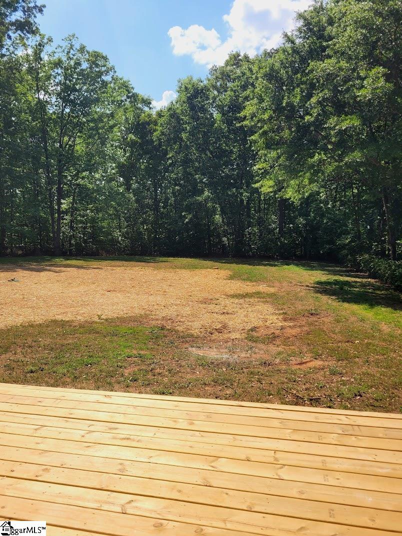 5202 Fairview Road Gray Court, SC 29645 - Photo 29 of 30