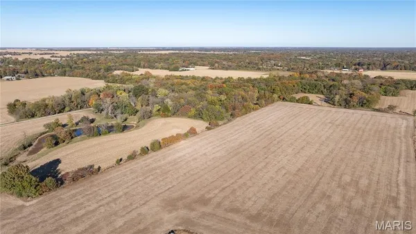 $175,000 | 0 West County Line Road, Unit TRACT 4, Brighton, IL 62012