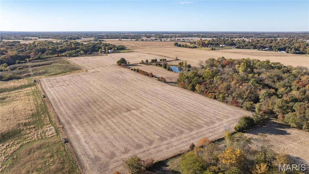 0 West County Line Road, Unit TRACT 4 Brighton, IL 62012 - Photo 3 of 5
