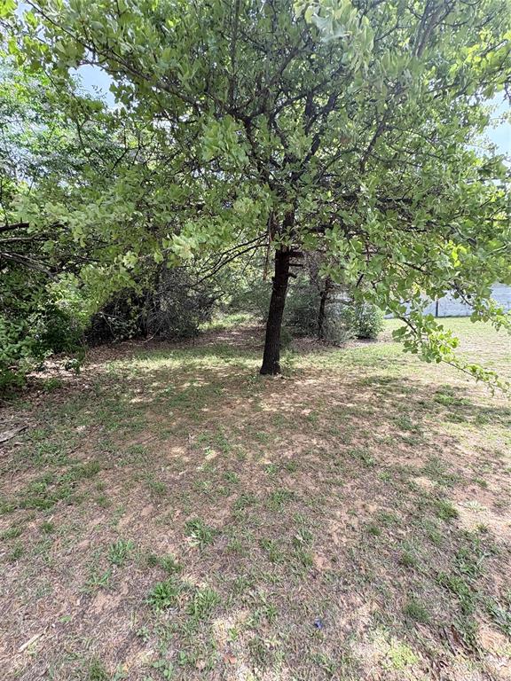 6295 Rendon New Hope Road Fort Worth, TX 76140 - Photo 35 of 38 Mature tree providing natural shade