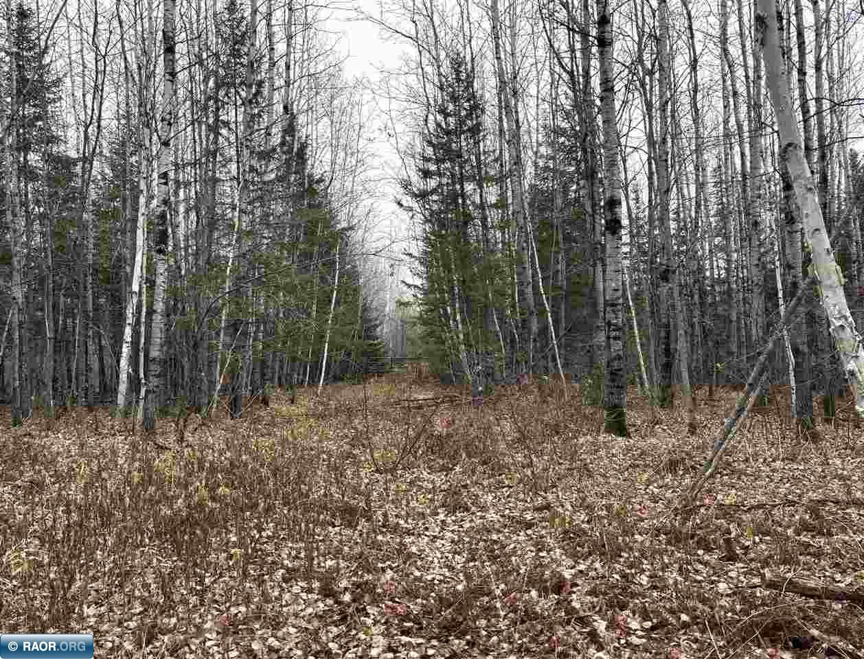 Tbd Shannon Lake Road Side Lake, MN 55781 - Photo 12 of 23