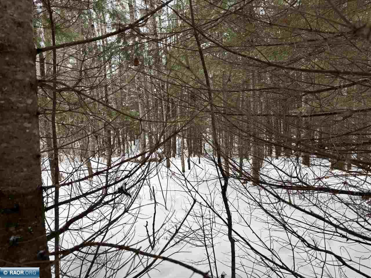 Tbd Shannon Lake Road Side Lake, MN 55781 - Photo 15 of 23