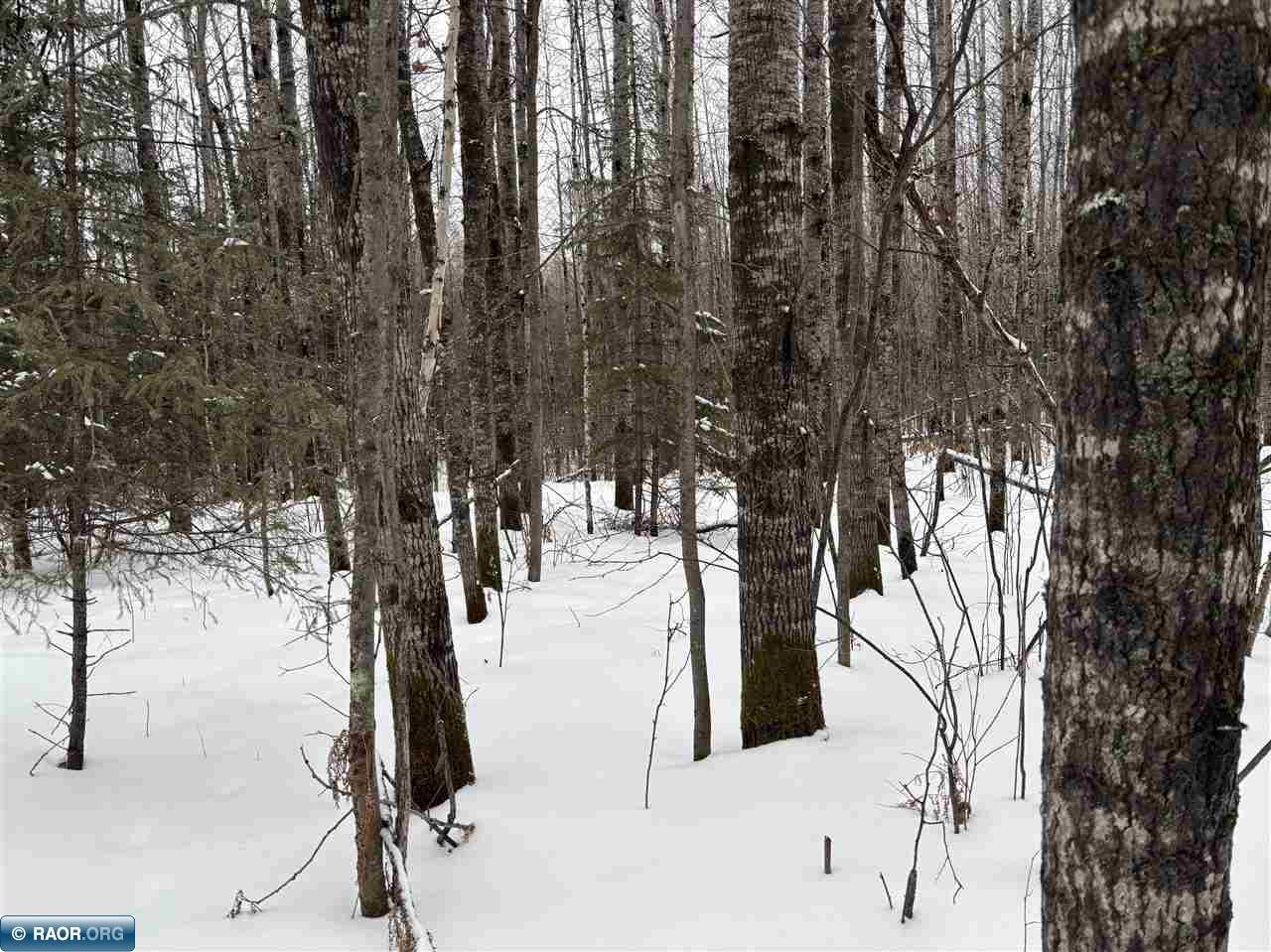 Tbd Shannon Lake Road Side Lake, MN 55781 - Photo 17 of 23