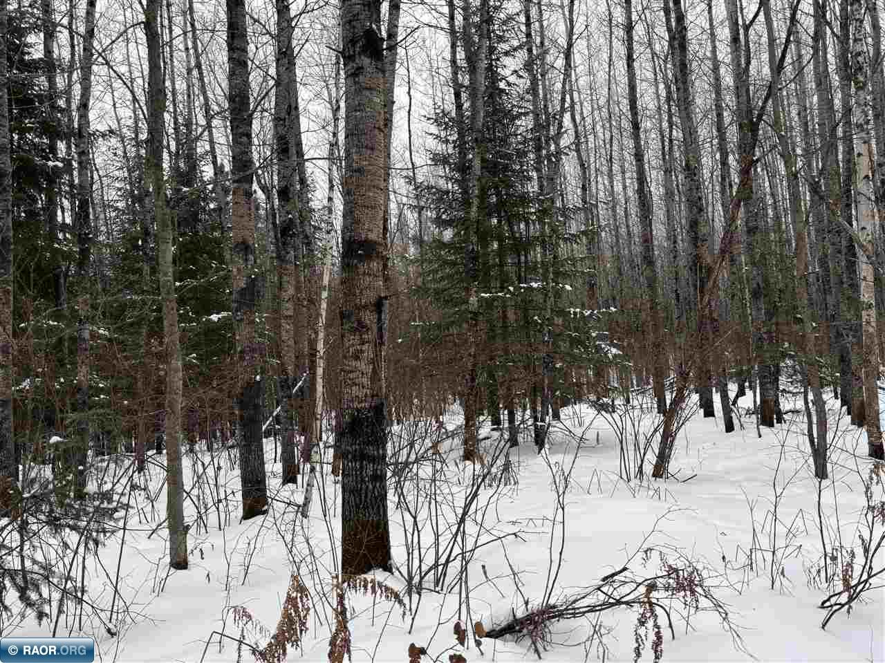 Tbd Shannon Lake Road Side Lake, MN 55781 - Photo 19 of 23