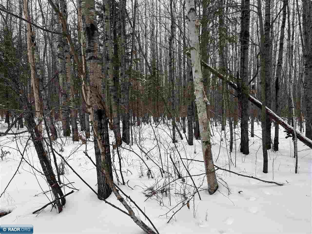 Tbd Shannon Lake Road Side Lake, MN 55781 - Photo 20 of 23