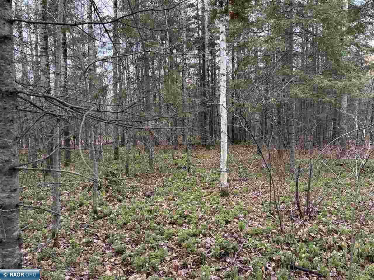 Tbd Shannon Lake Road Side Lake, MN 55781 - Photo 2 of 23