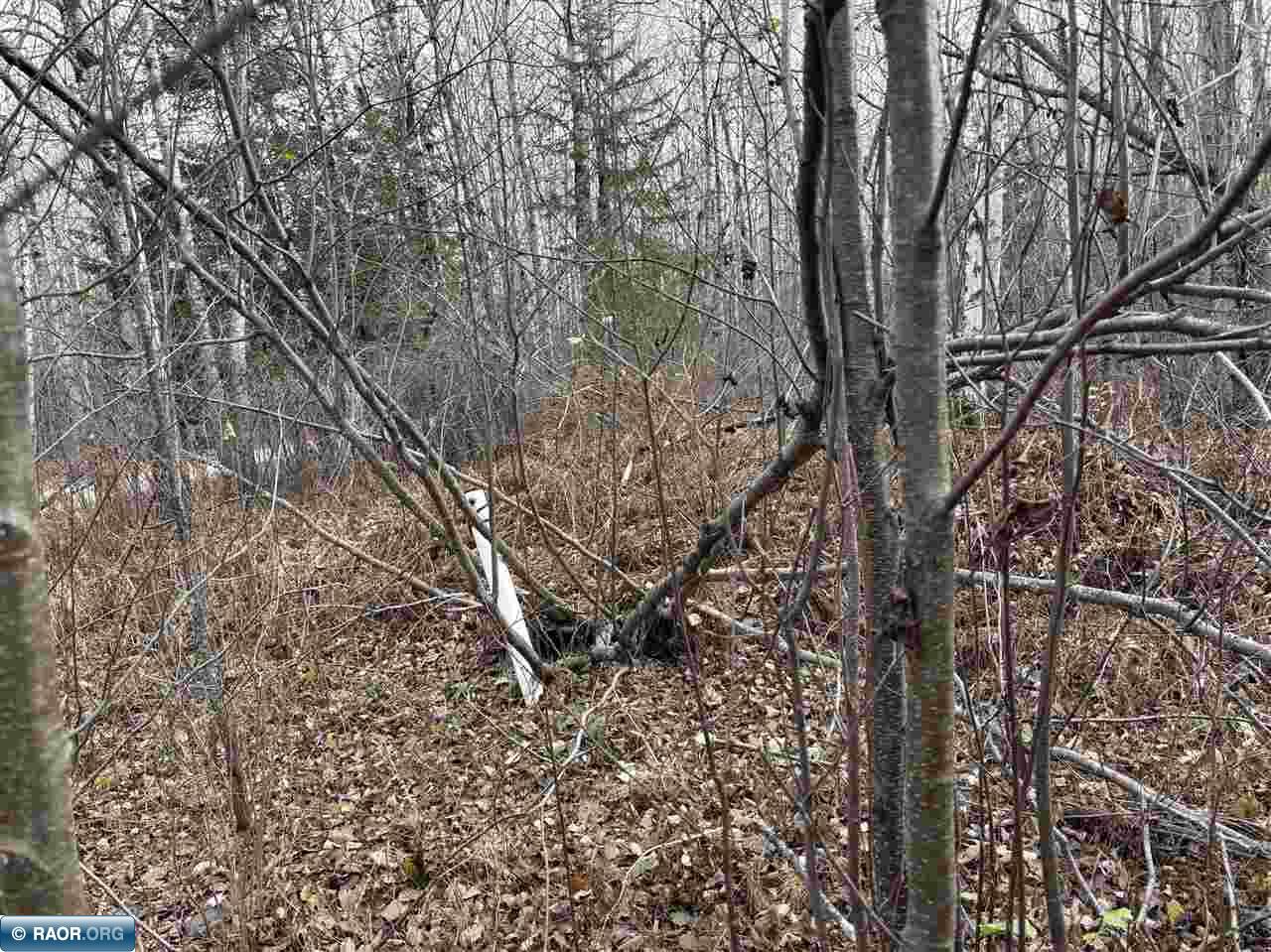 Tbd Shannon Lake Road Side Lake, MN 55781 - Photo 3 of 23