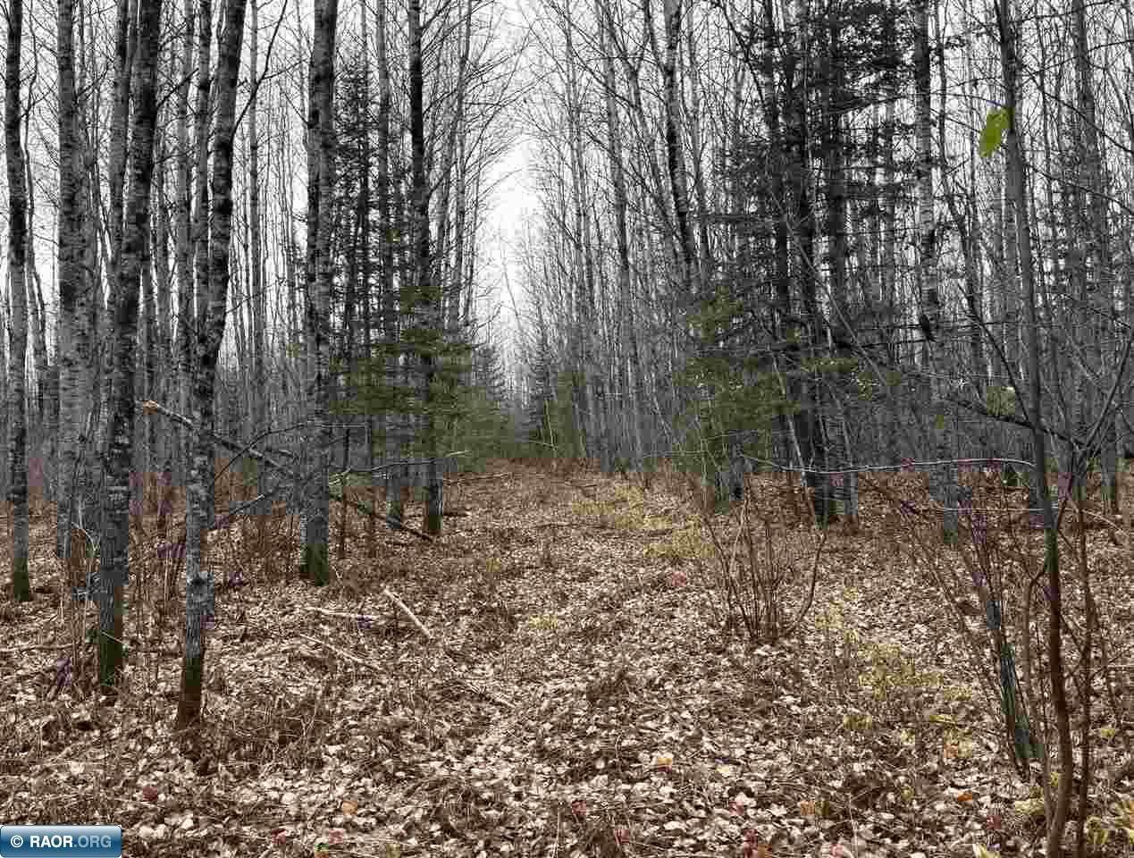 Tbd Shannon Lake Road Side Lake, MN 55781 - Photo 5 of 23