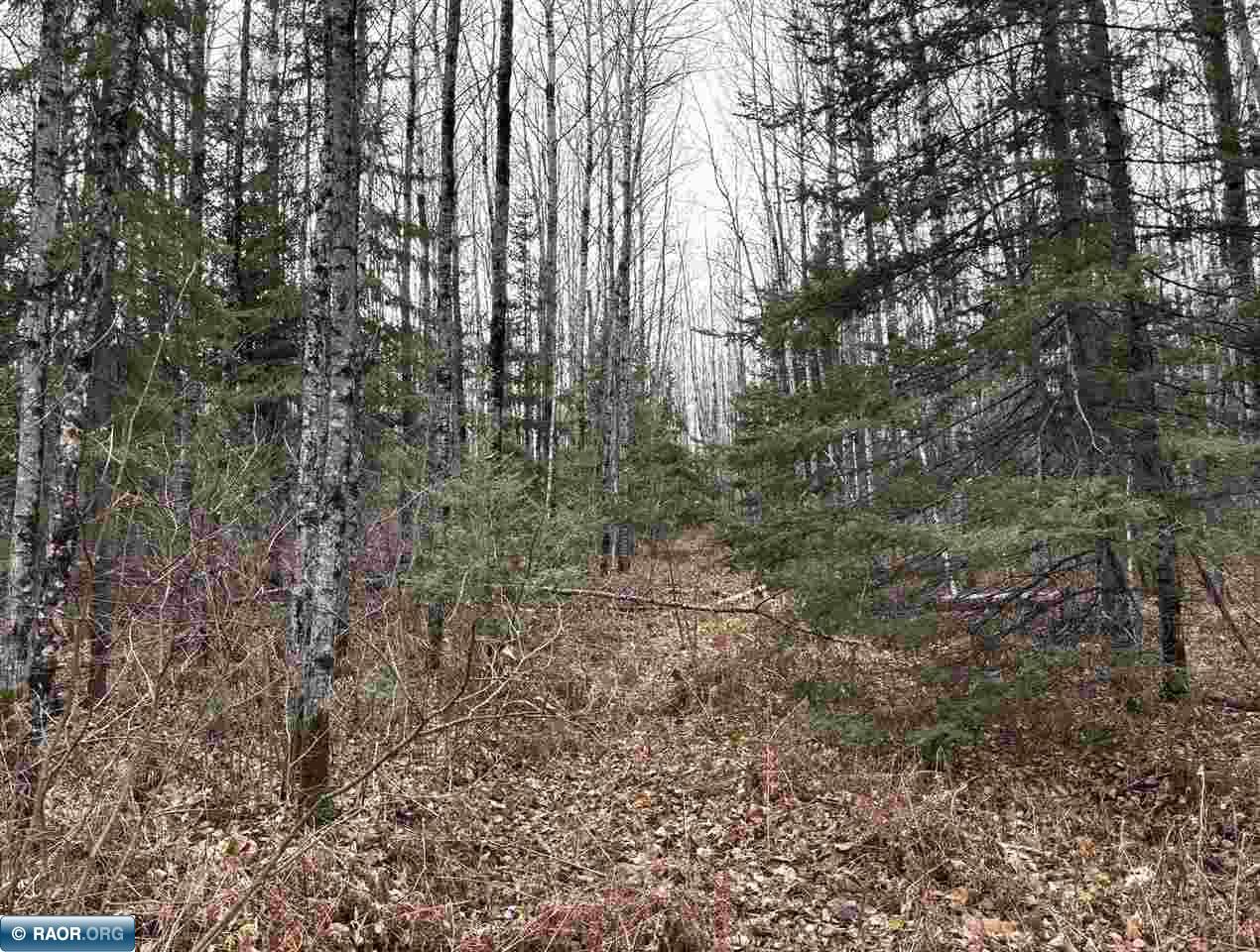 Tbd Shannon Lake Road Side Lake, MN 55781 - Photo 7 of 23