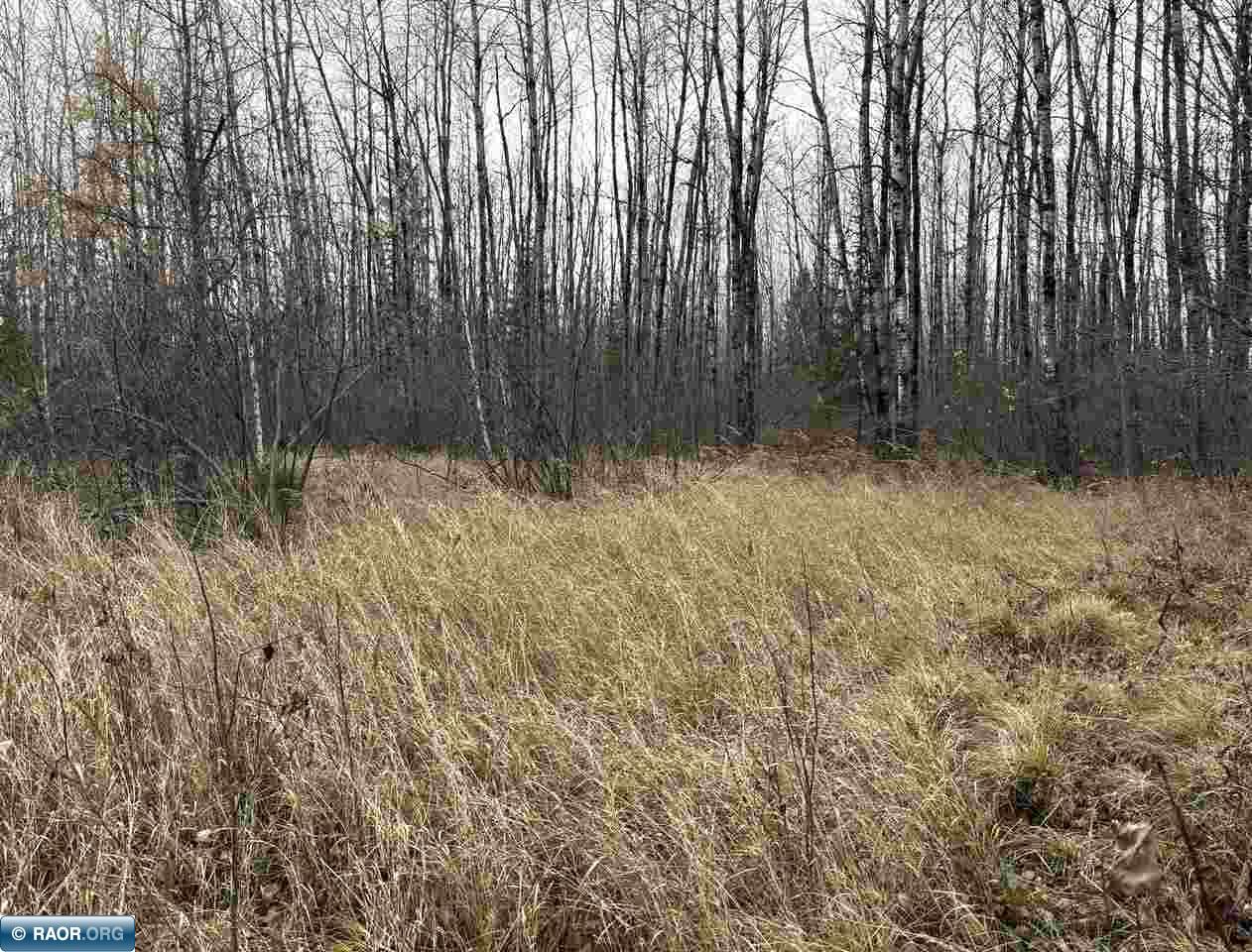 Tbd Shannon Lake Road Side Lake, MN 55781 - Photo 8 of 23