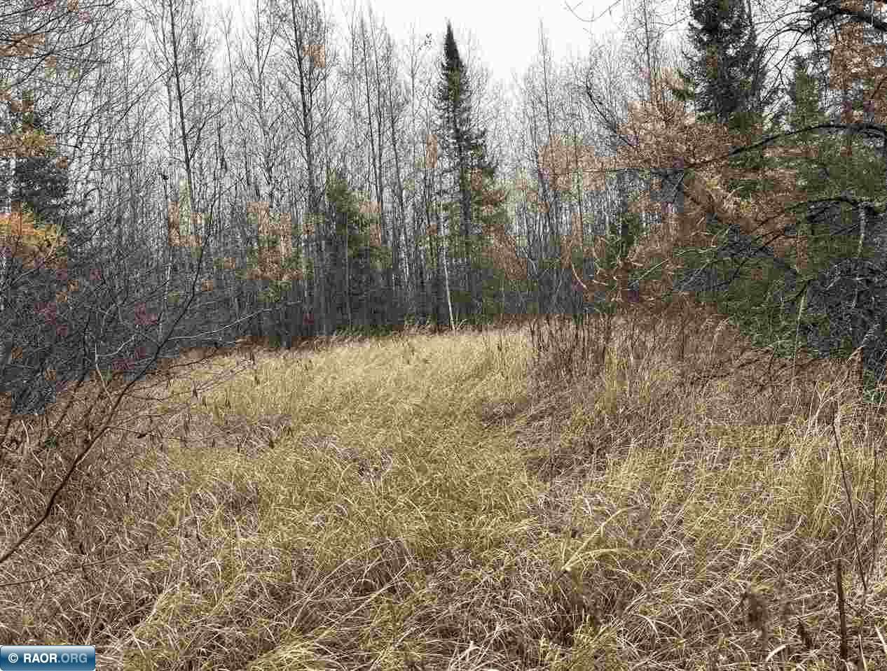Tbd Shannon Lake Road Side Lake, MN 55781 - Photo 9 of 23