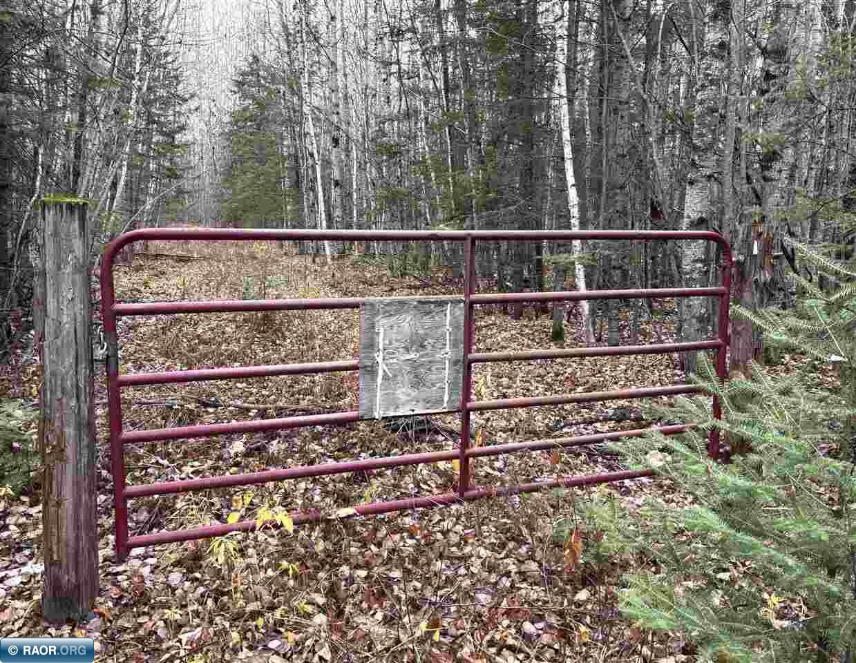 Tbd Shannon Lake Road Side Lake, MN 55781 - Photo 10 of 23