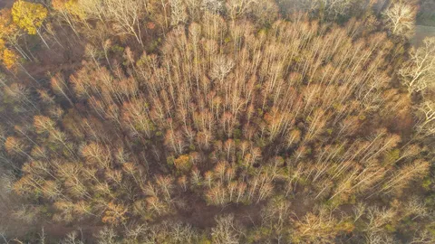 $1,100,000 | 3017 Blythe Meadow Lane, Arrington, TN 37014