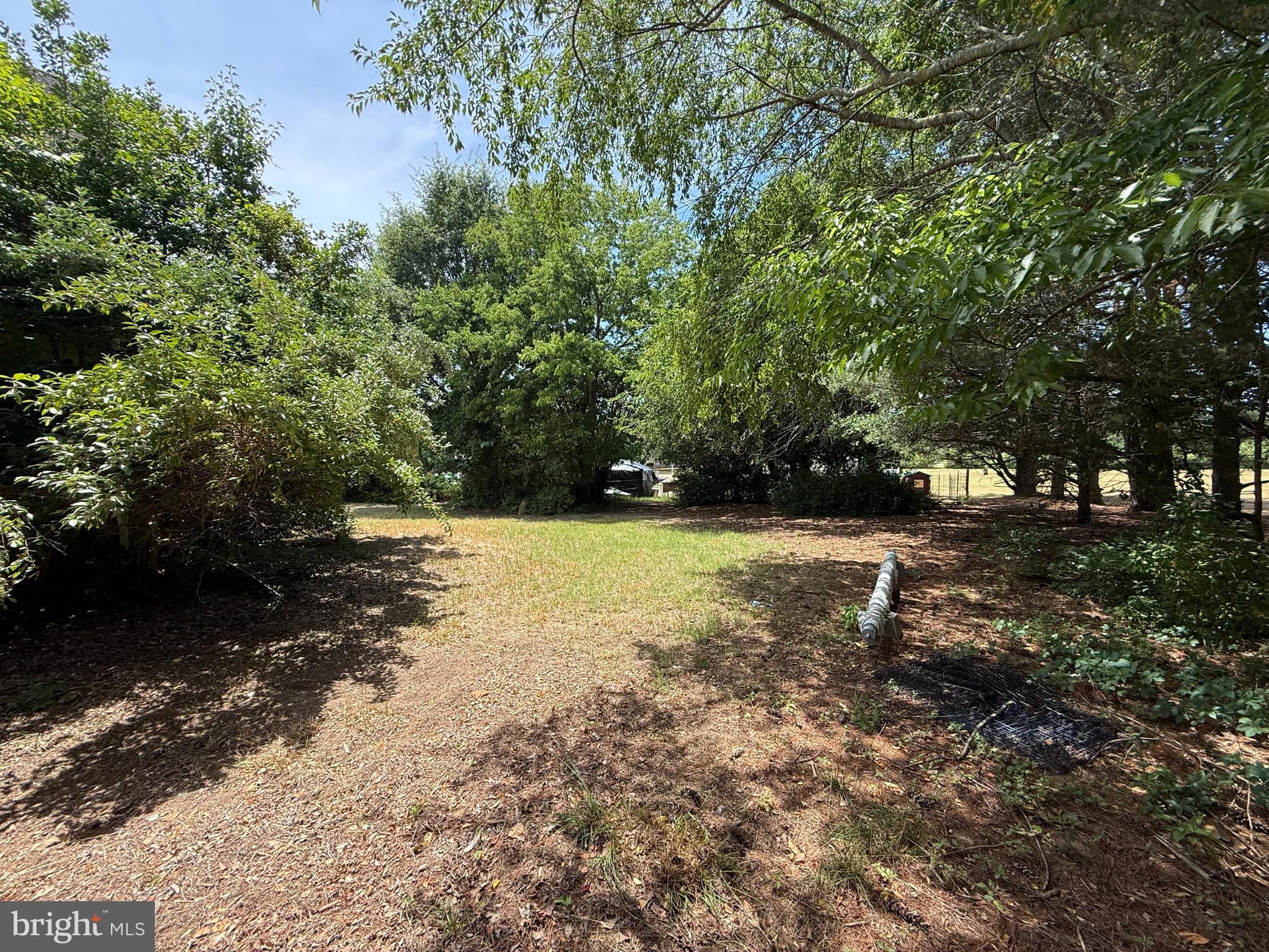 4506 Tyaskin Road Tyaskin, MD 21865 - Photo 22 of 39 back yard