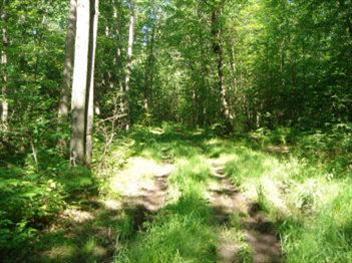 Gordon Road Howard City, MI 49329 - Photo 2 of 18 Additional Photo
