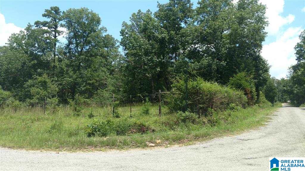 0 Powell Road Remlap, AL 35133 - Photo 12 of 19