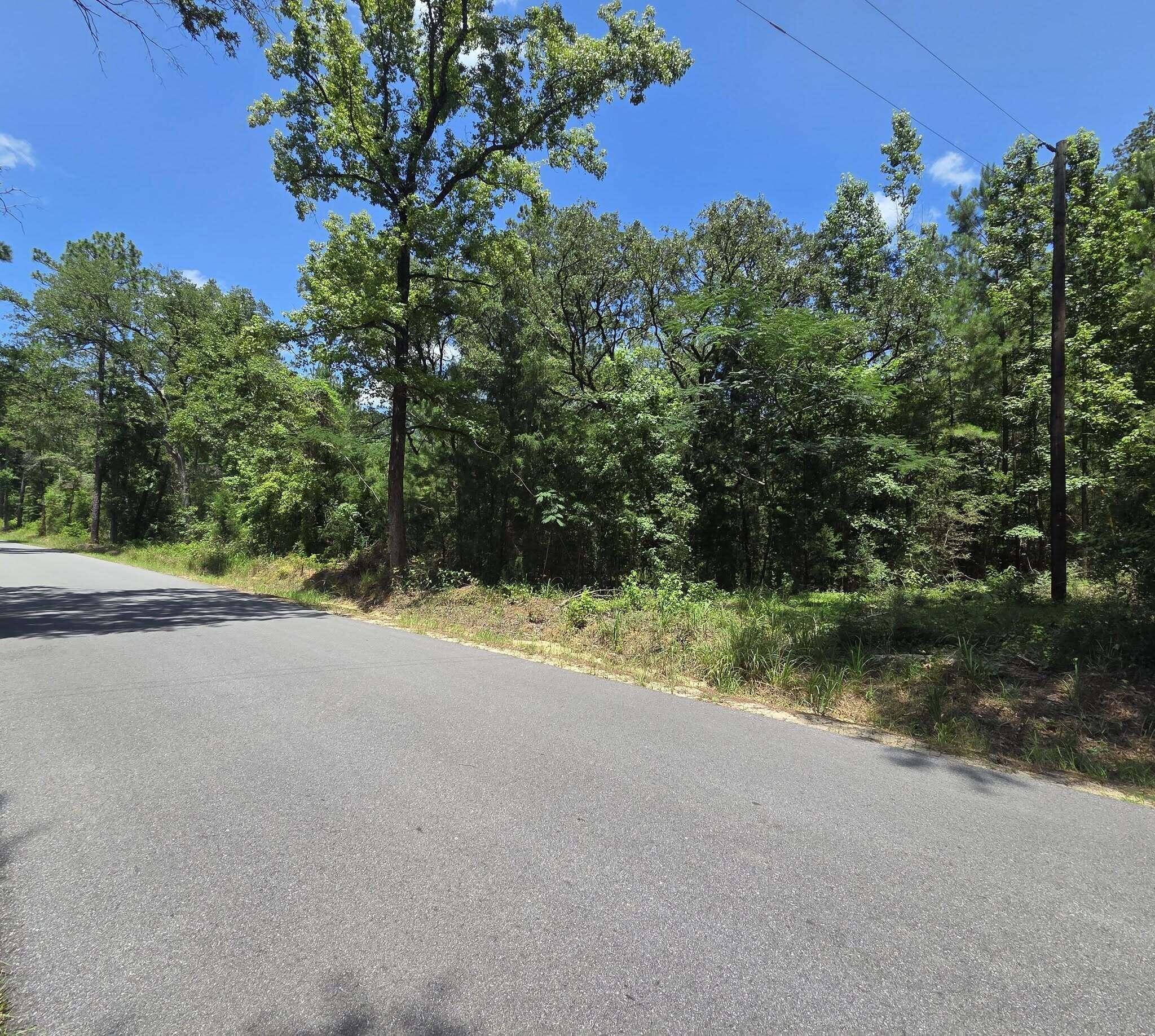 3389 Gainer Road Chipley, FL 32428 - Photo 10 of 22 a view of a yard with a tree
