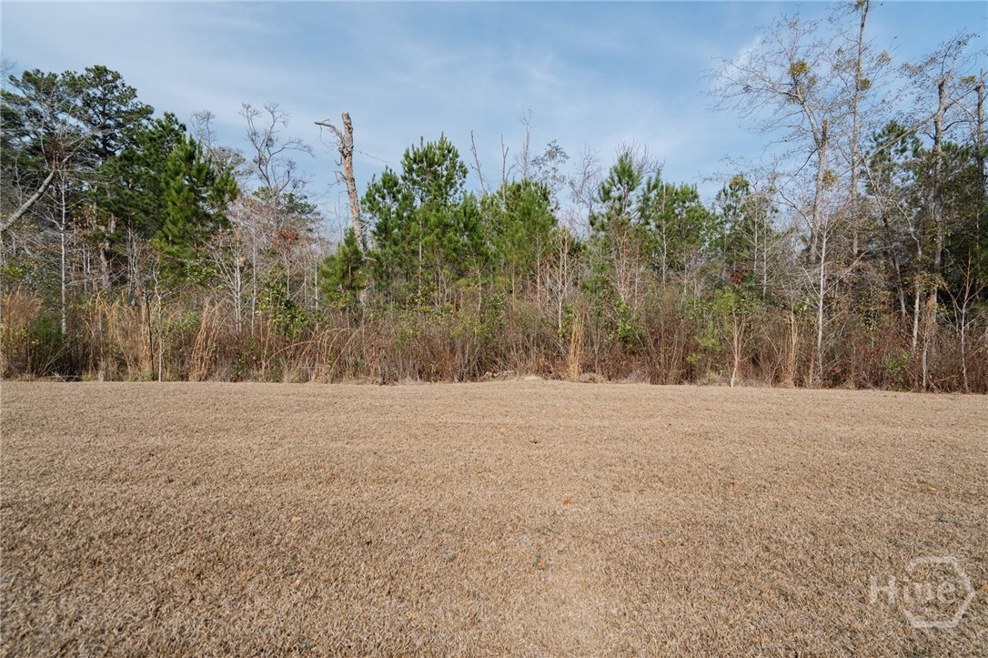 62 Alder Pass Midway, GA 31320 - Photo 38 of 41