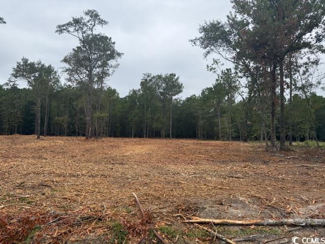 1 A McNabb Road Loris, SC 29569 - Photo 1 of 4 View of tree filled area