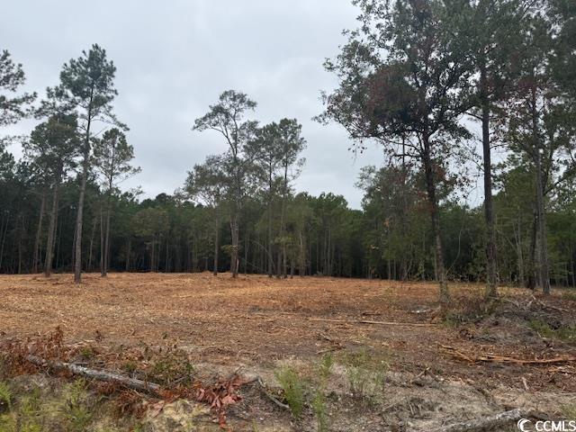 1 A McNabb Road Loris, SC 29569 - Photo 2 of 4 View of wooded area
