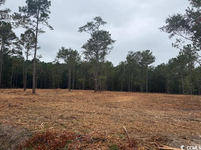 1 A McNabb Road Loris, SC 29569 - Photo 3 of 4 View of woods