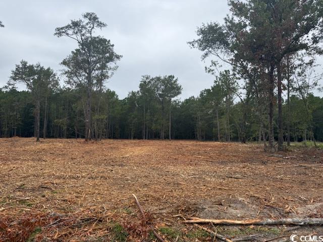 1 A McNabb Road Loris, SC 29569 - Photo 4 of 4 View of woods