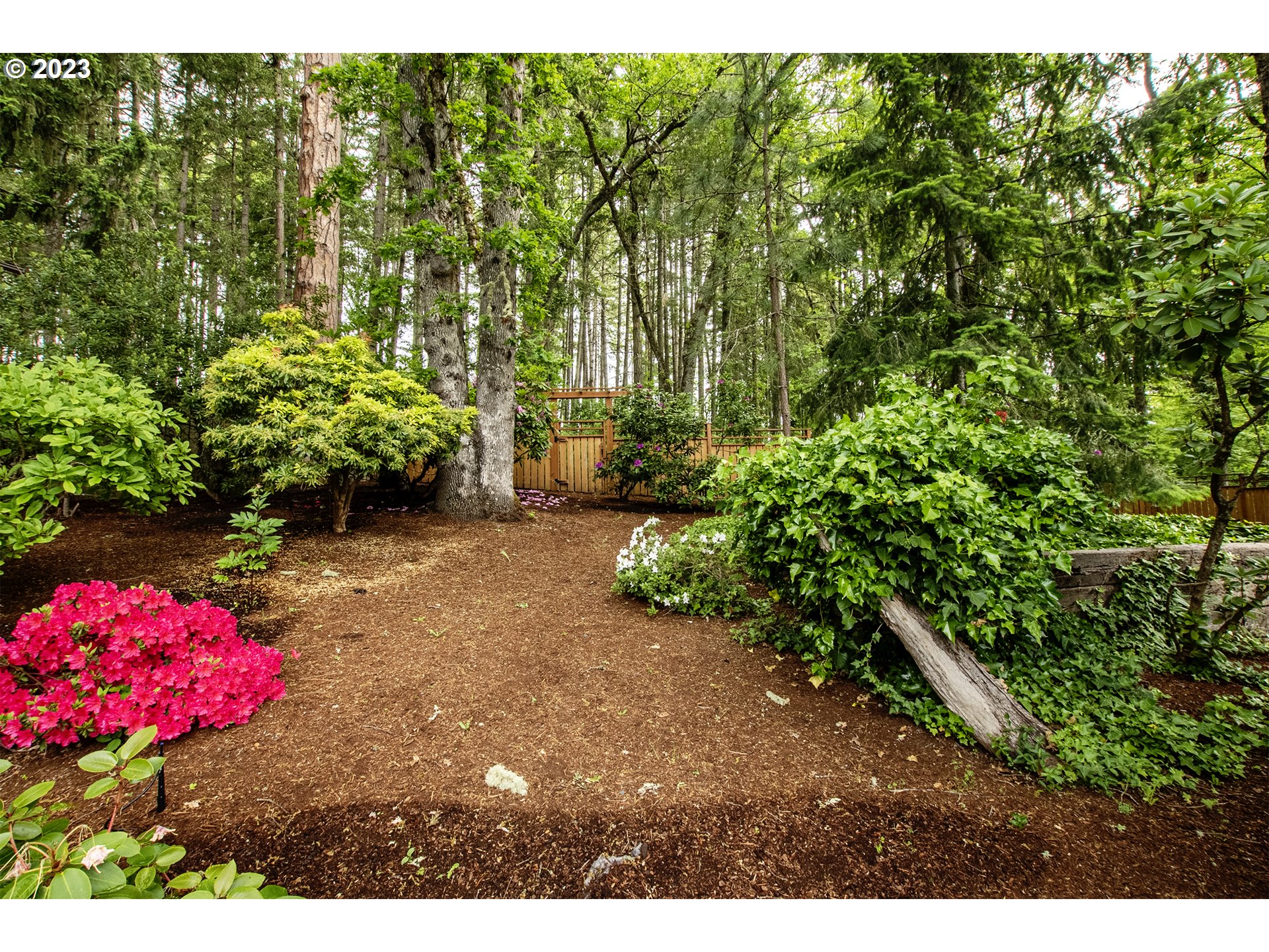 197 Brae Burn Drive Eugene, OR 97405 - Photo 39 of 42 a view of a backyard with potted plants