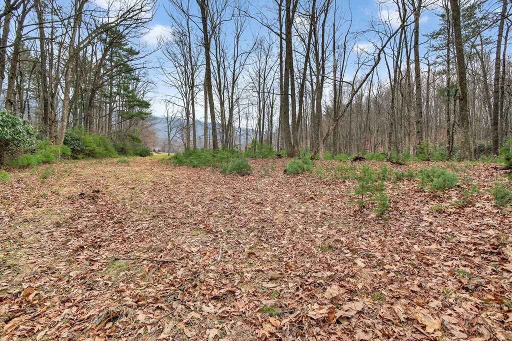 329 Mill Creek Road Chilhowie, VA 24319 - Photo 38 of 58 Gallery Image 38
