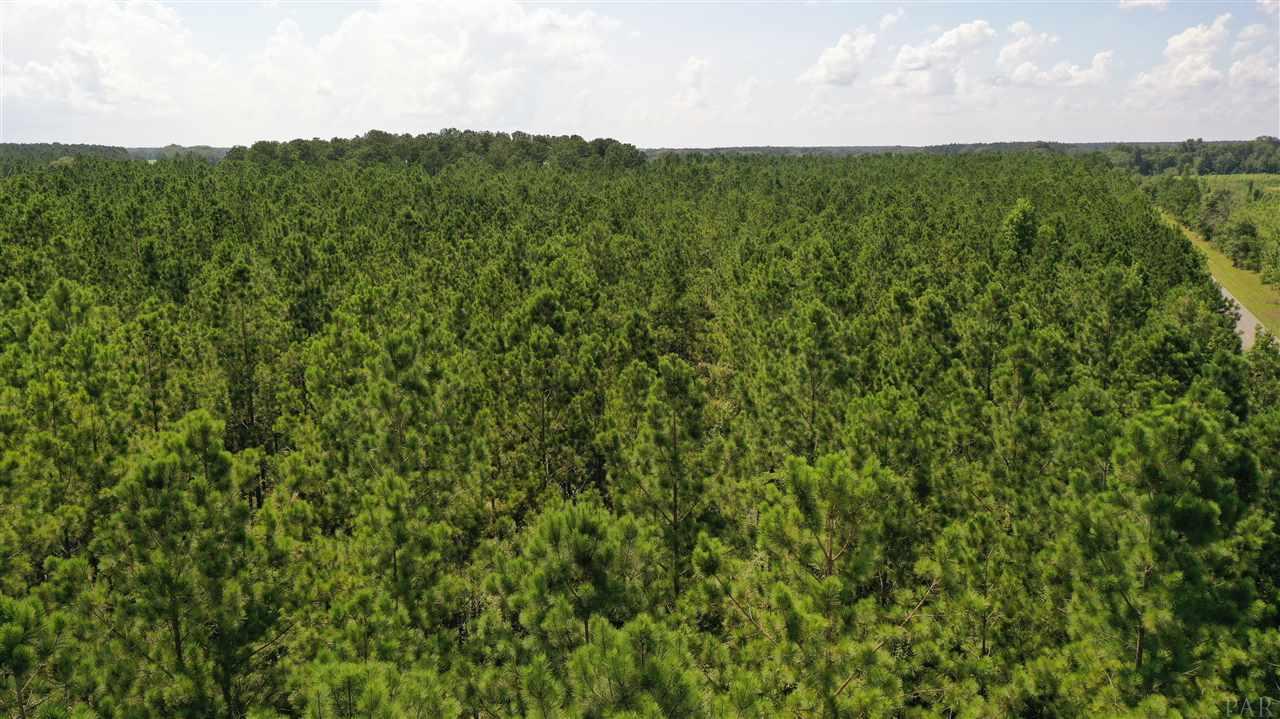 1 Booneville Road Atmore, AL 36502 - Photo 15 of 23