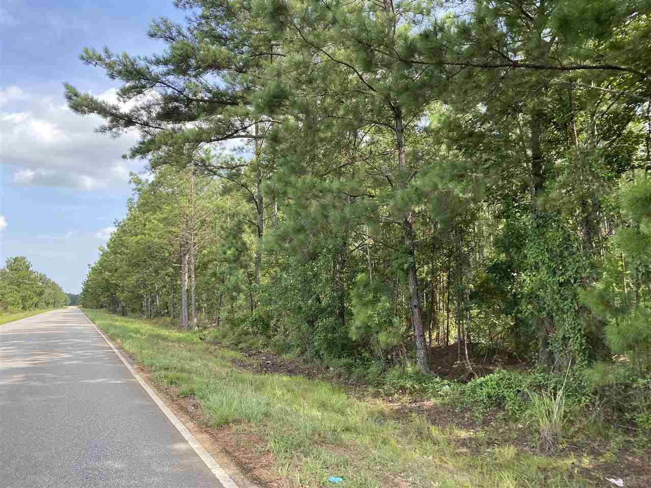 1 Booneville Road Atmore, AL 36502 - Photo 16 of 23