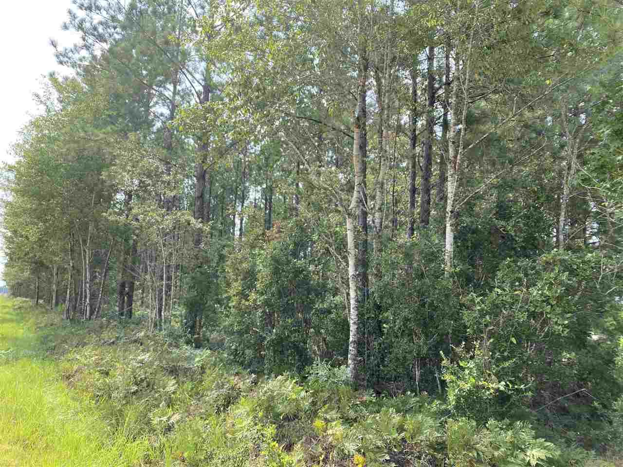 1 Booneville Road Atmore, AL 36502 - Photo 7 of 23