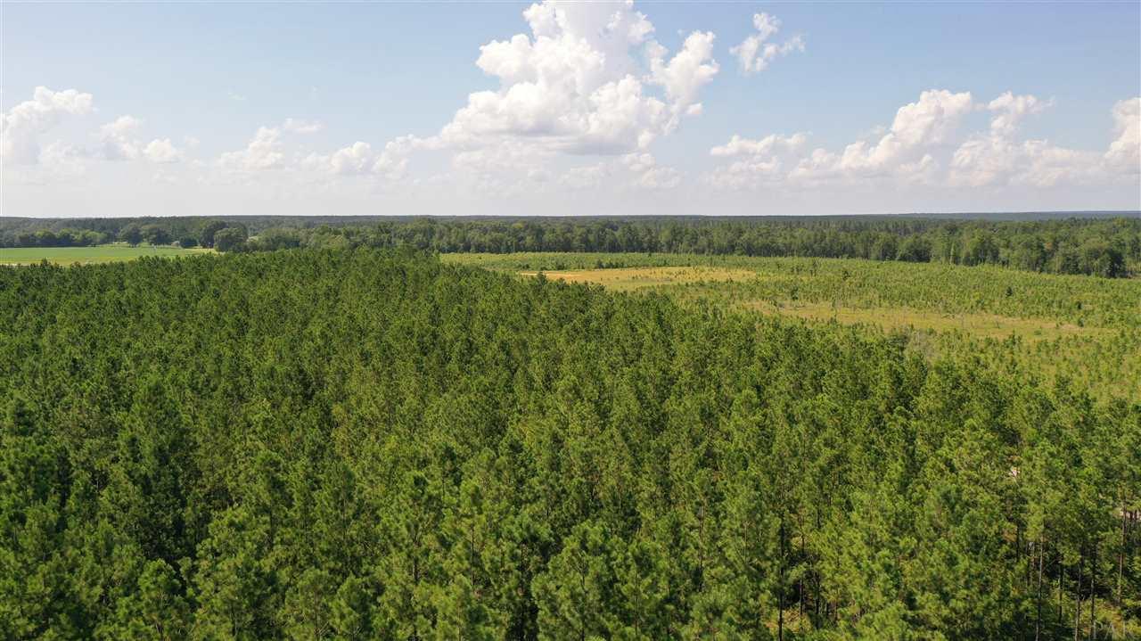 1 Booneville Road Atmore, AL 36502 - Photo 8 of 23