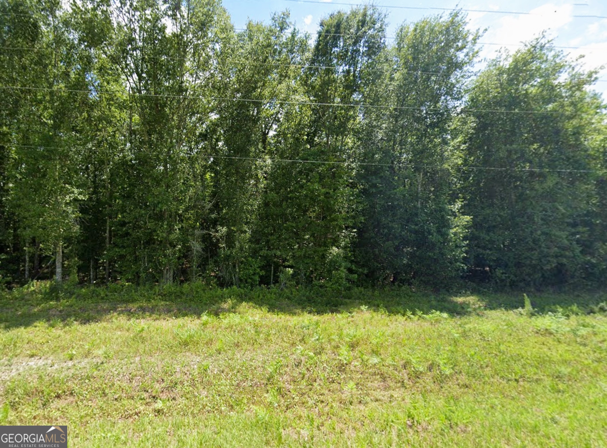 0 Mann Road Arabi, GA 31712 - Photo 3 of 11