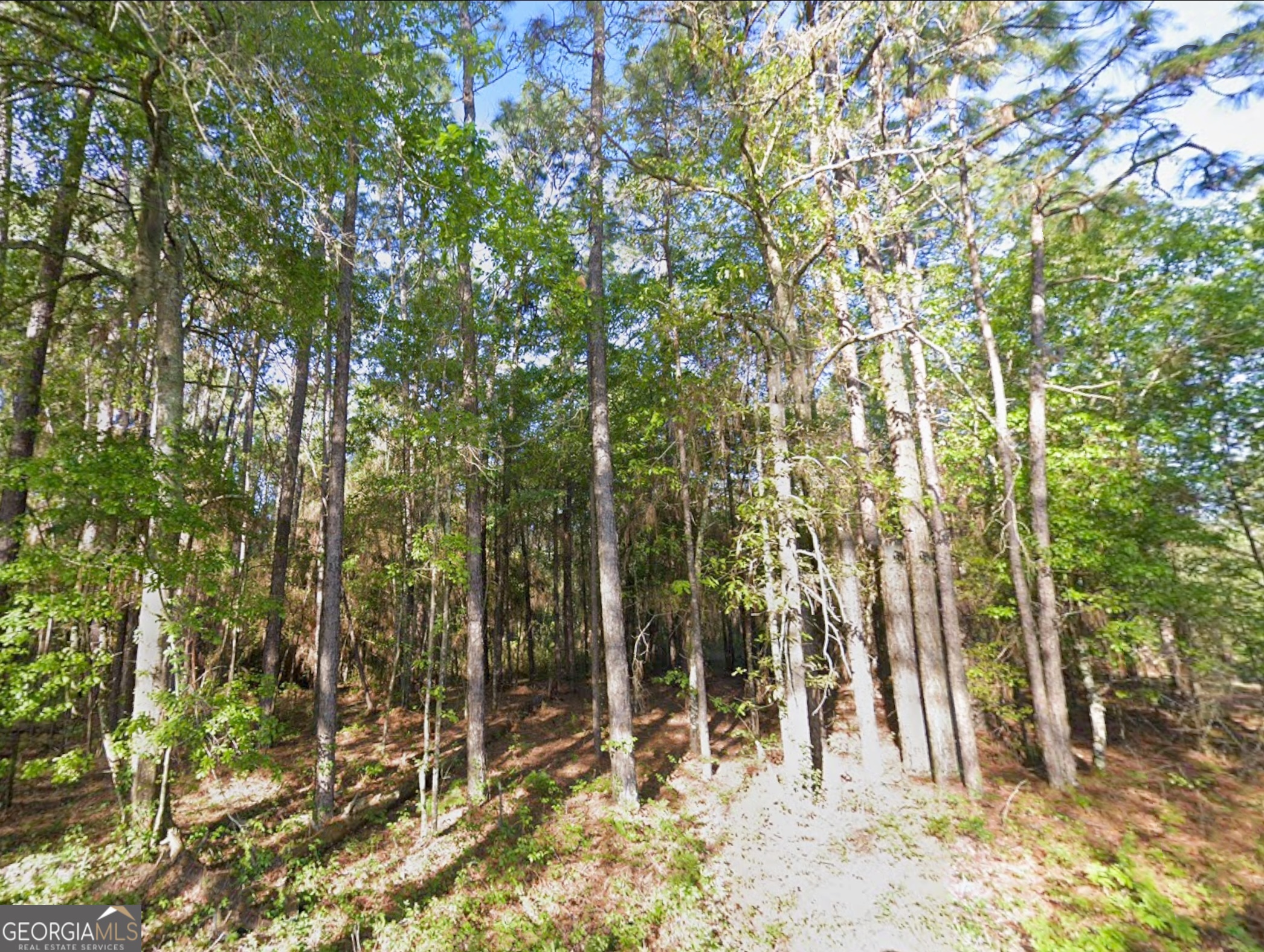 0 Mann Road Arabi, GA 31712 - Photo 5 of 11