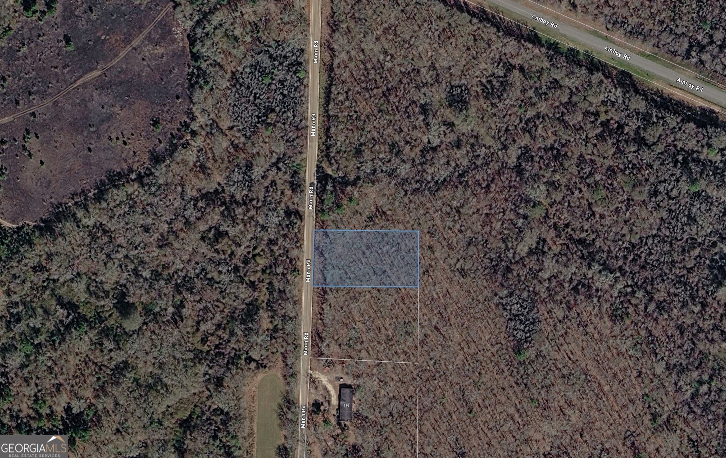 0 Mann Road Arabi, GA 31712 - Photo 7 of 11